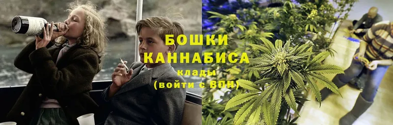 Каннабис OG Kush  МЕГА рабочий сайт  Канаш 